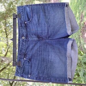 Ann Taylor Loft Original Raw Edge Cuff Hem Denim Shorts 14 Excellent Cond Jeans
